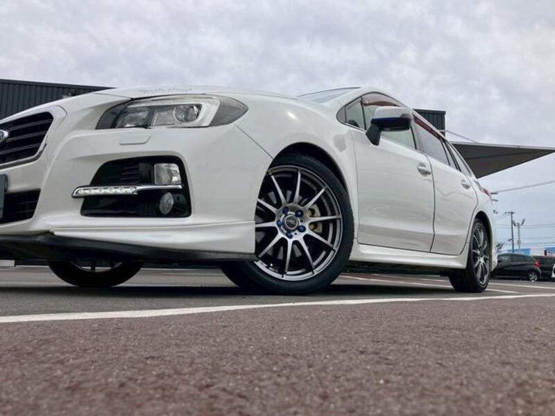 LEVORG
