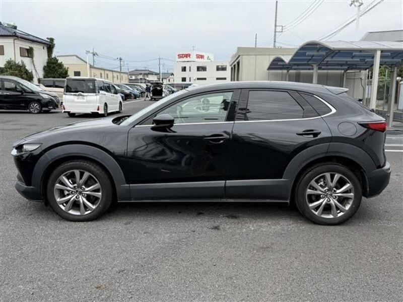 CX-30
