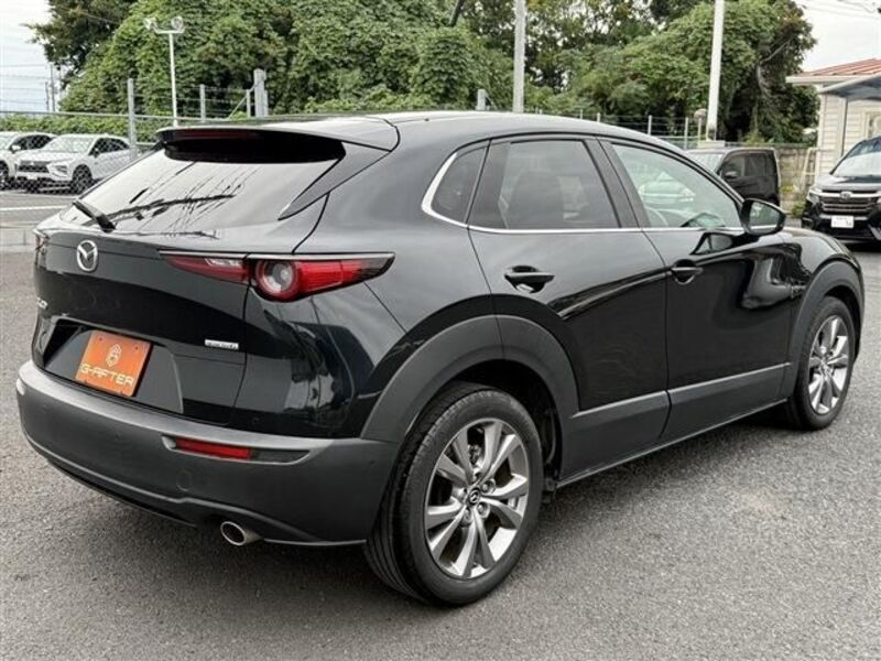 CX-30