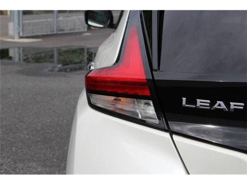 LEAF