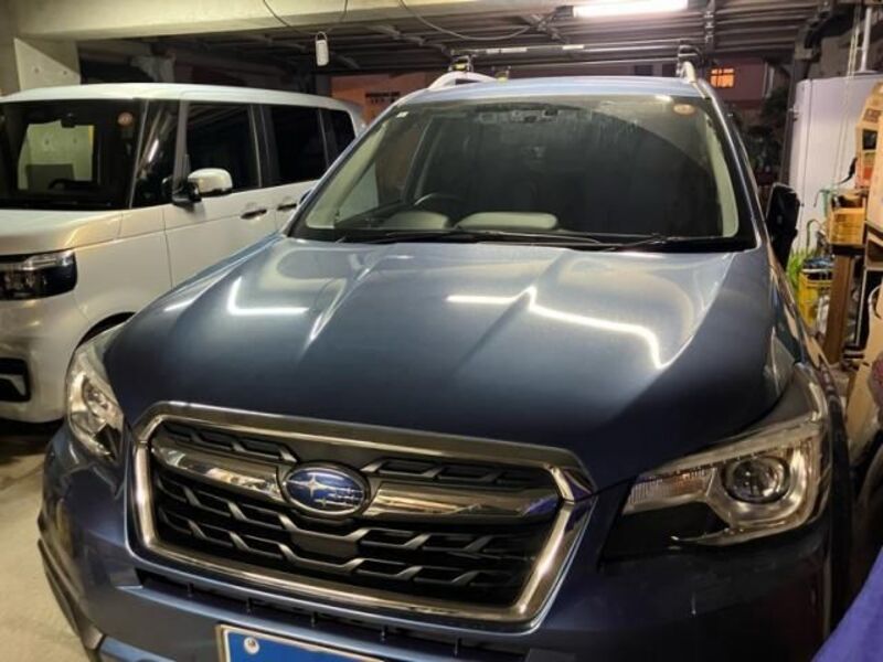 FORESTER