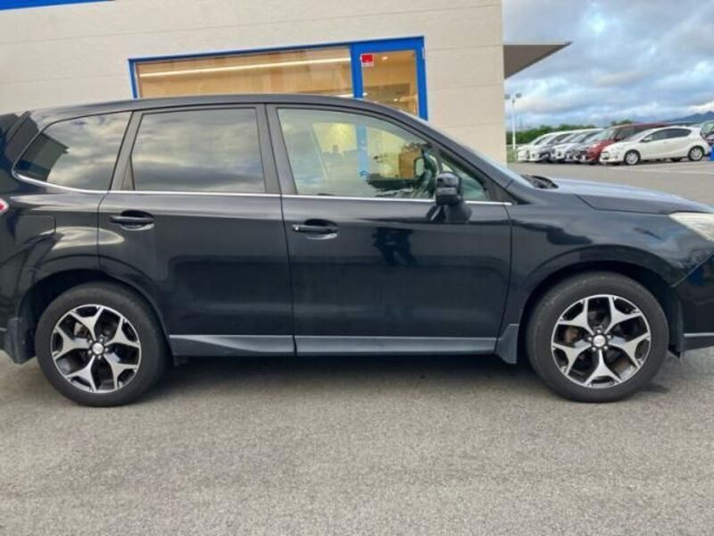 FORESTER