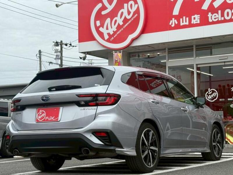 LEVORG