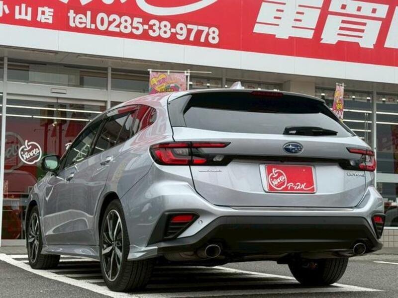 LEVORG