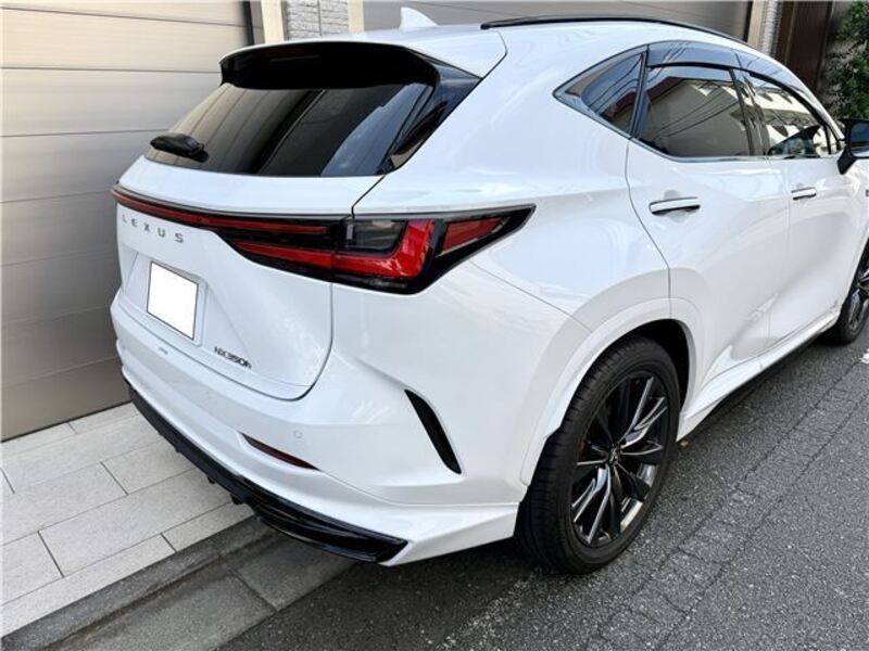 NX