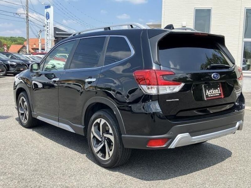 FORESTER