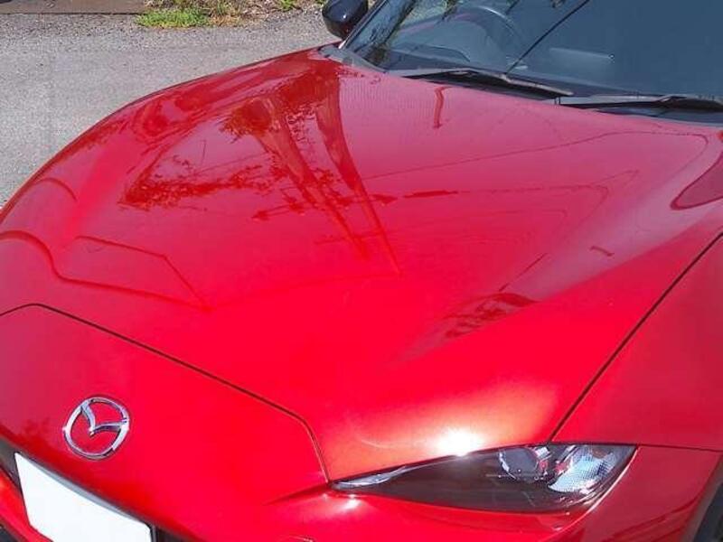 ROADSTER