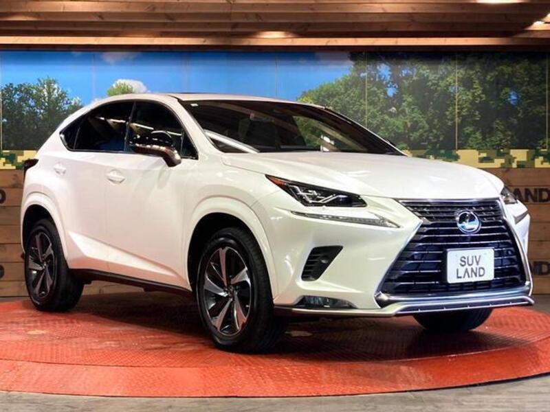 NX