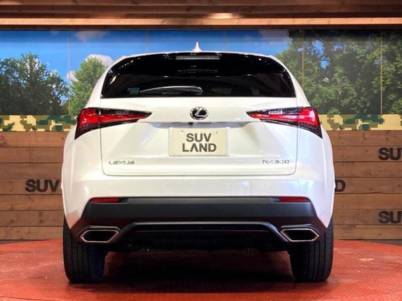 NX