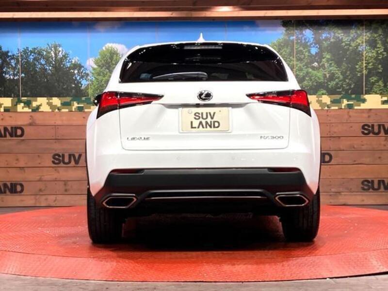 NX