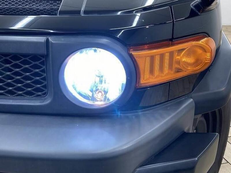FJ CRUISER
