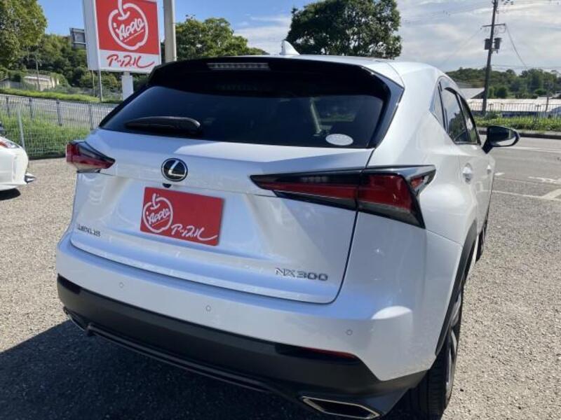NX
