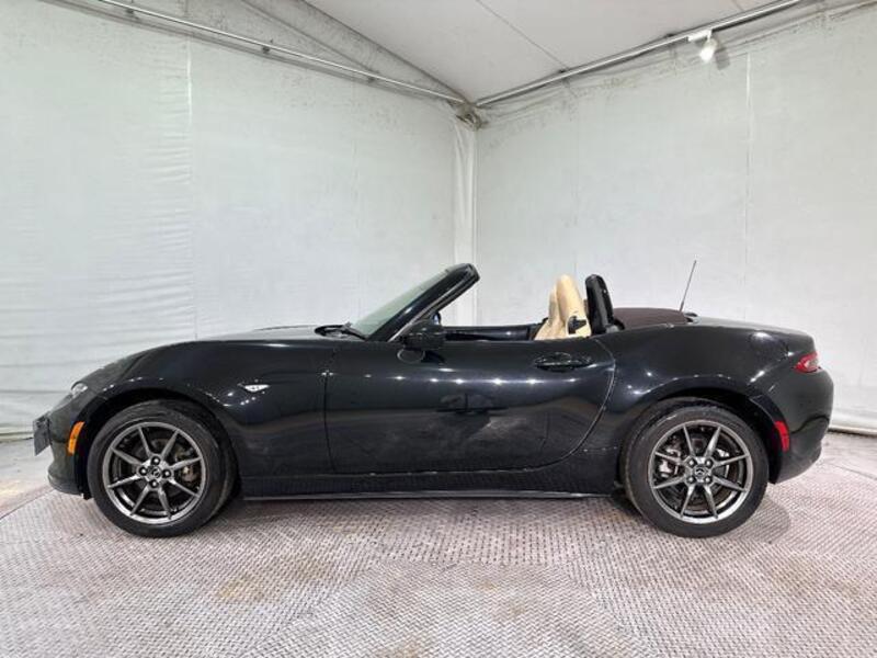 ROADSTER
