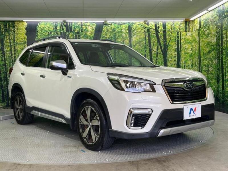 FORESTER