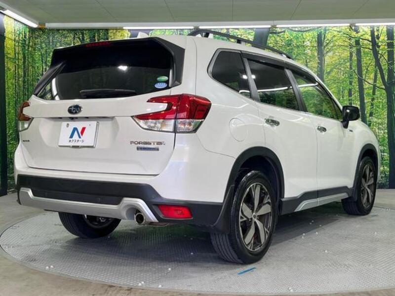 FORESTER