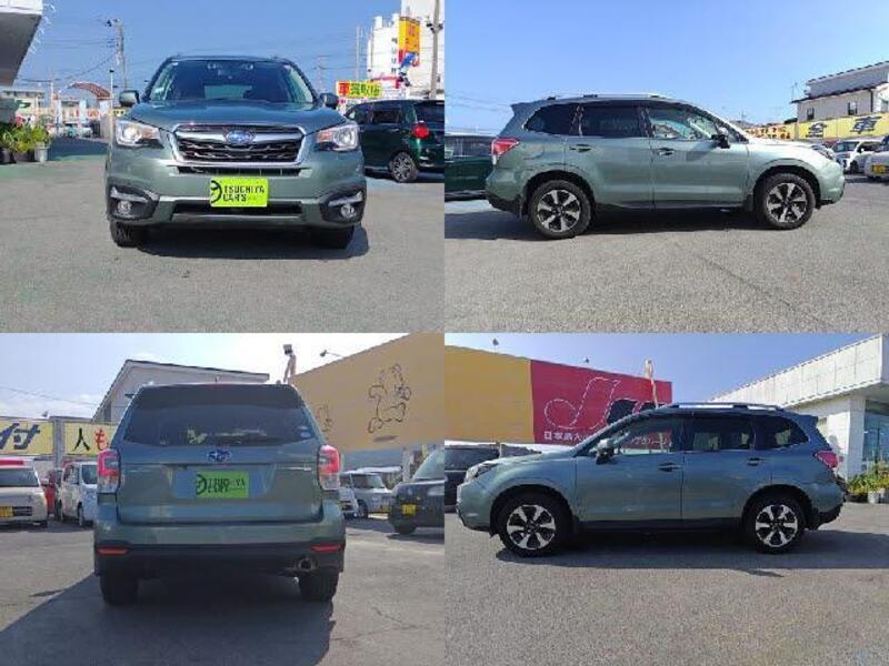 FORESTER
