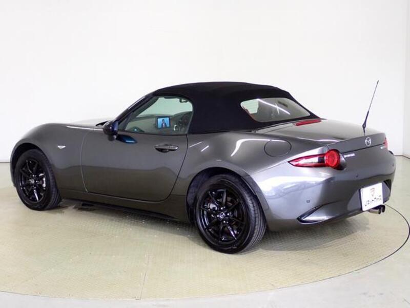 ROADSTER