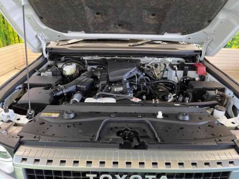 LAND CRUISER 250