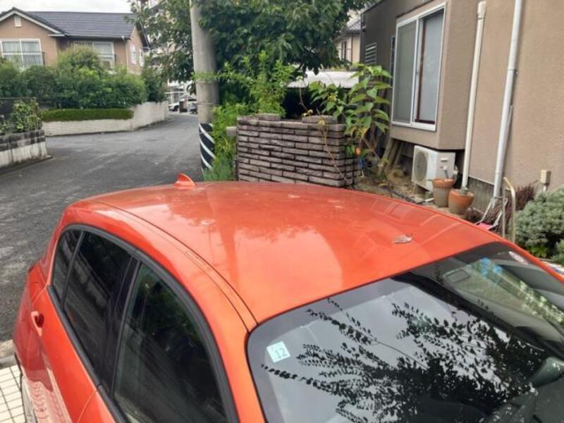 1 SERIES