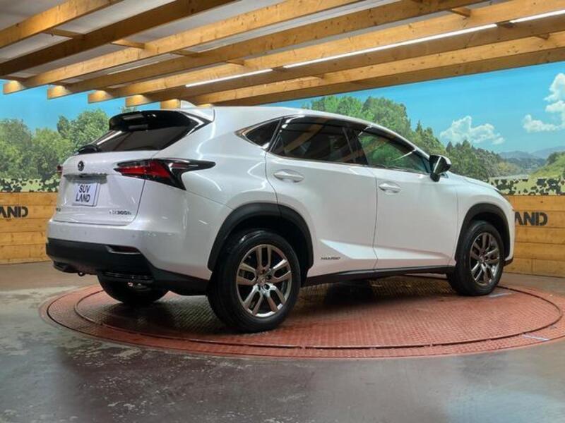 NX