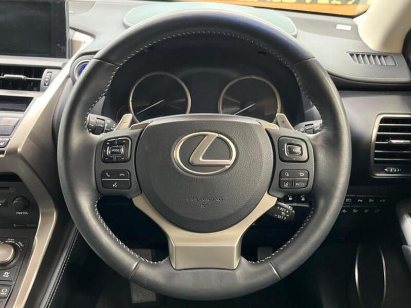 NX