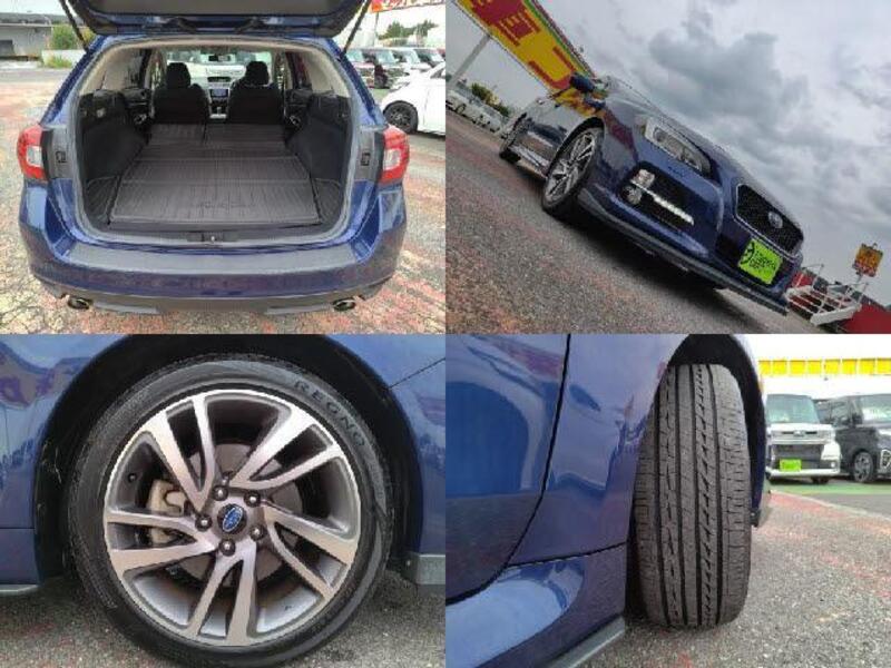 LEVORG
