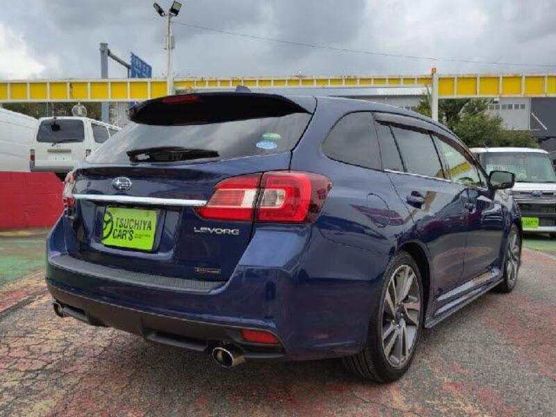 LEVORG