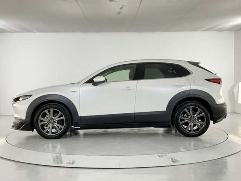 CX-30