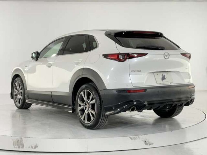 CX-30
