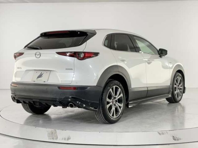 CX-30