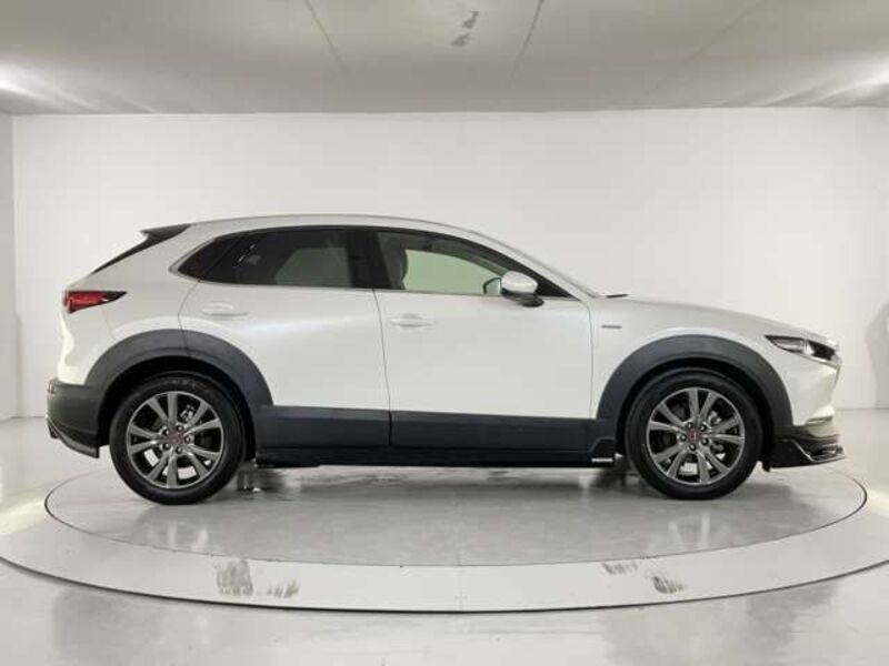 CX-30