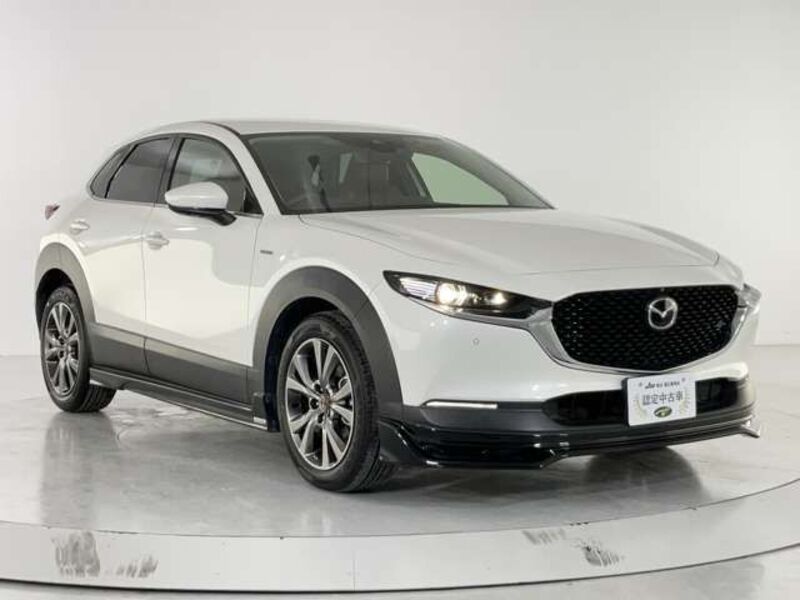 CX-30