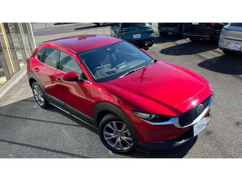 CX-30