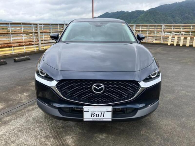CX-30