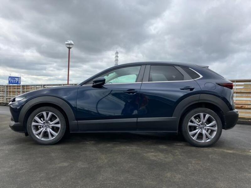 CX-30