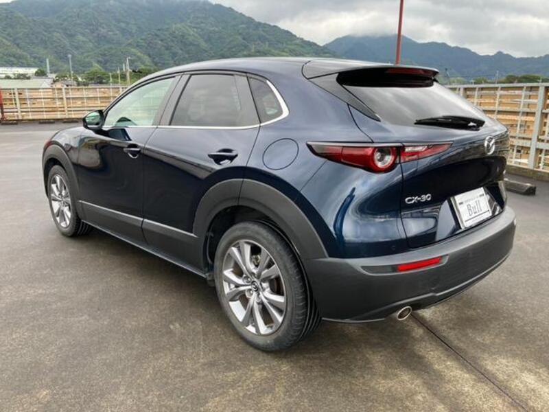 CX-30