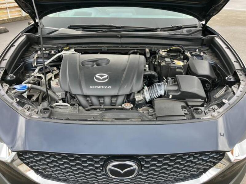 CX-30