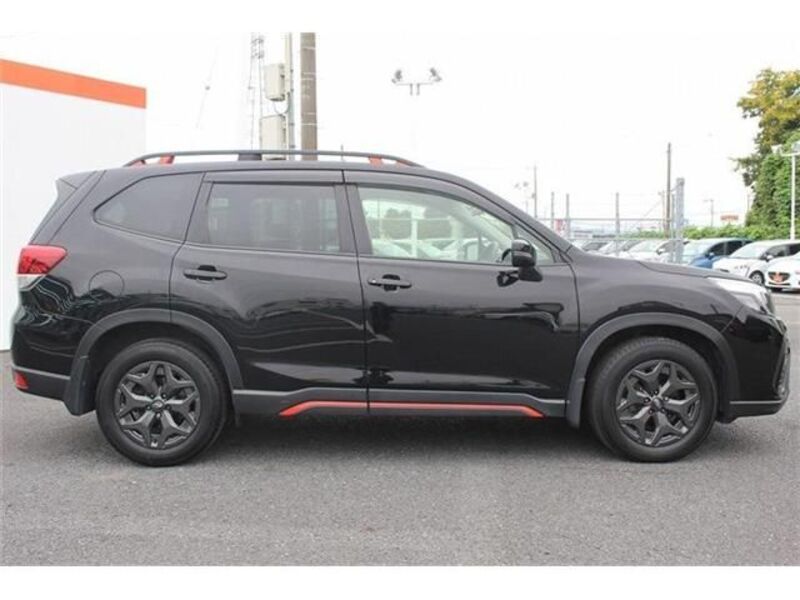 FORESTER