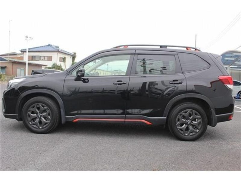 FORESTER
