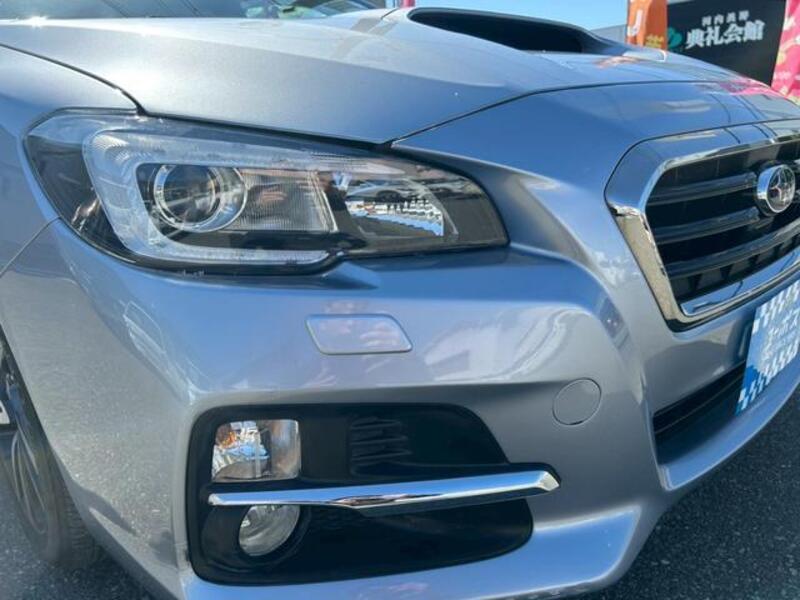 LEVORG
