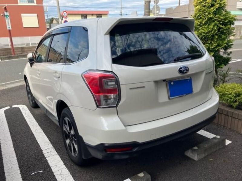 FORESTER