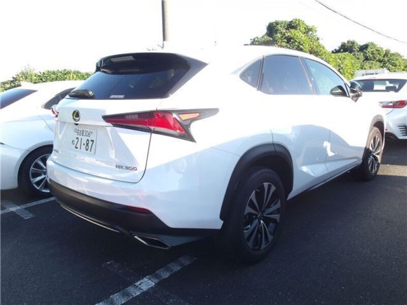 NX