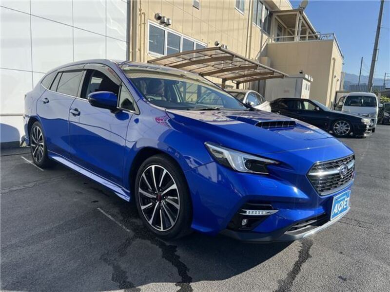 LEVORG