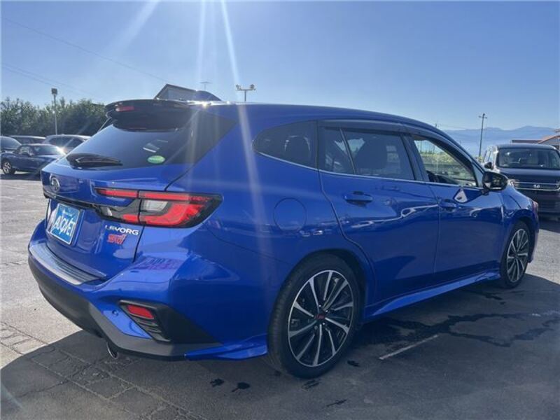 LEVORG