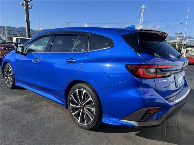 LEVORG