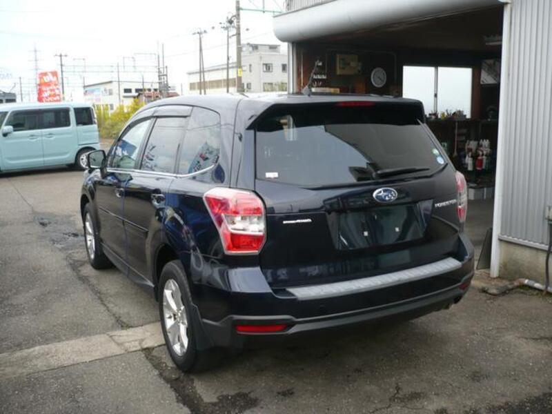 FORESTER