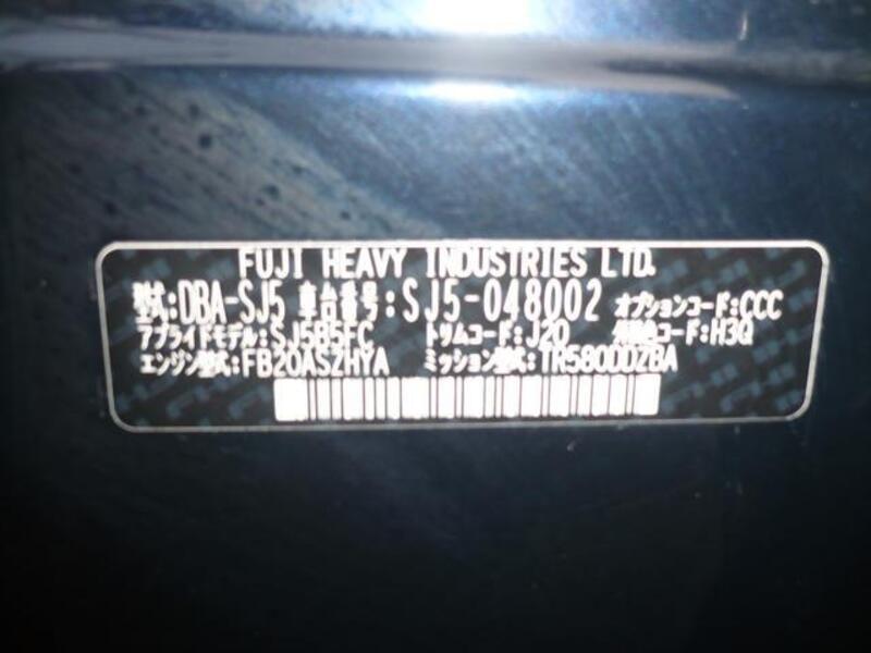 FORESTER