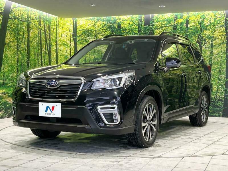 FORESTER-27