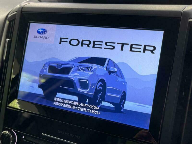 FORESTER-54