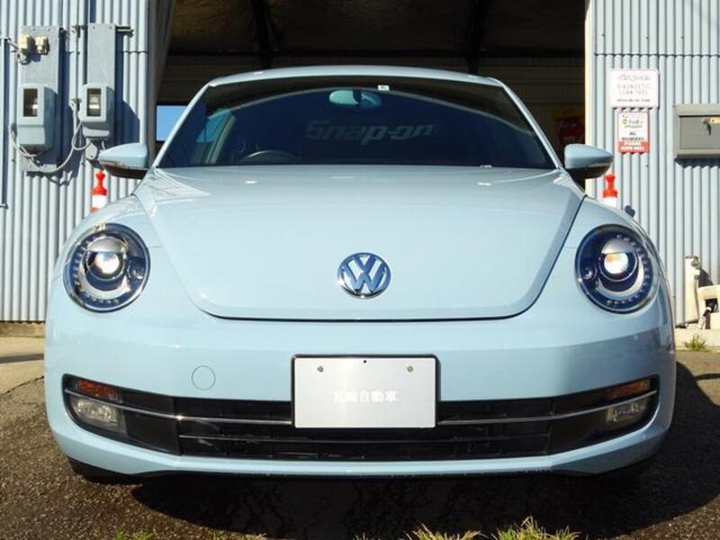 THE BEETLE